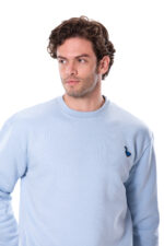 Naughty Goose Sweater Powder Blue