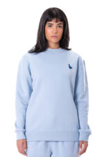 Naughty Goose Sweater Powder Blue - Image 4
